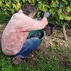 Impressions client, coffret vigne et journée vendanges dans la Loire