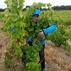 Retour client, coffret parrainage vigne et visite du Domaine la Cabotte
