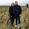 Avis de l'Expérience Vin de Gourmet Odyssey en Bourgogne
