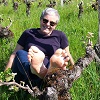 Retour sur l'Expérience Vin et la découverte de la vigne au Chateau Coutet