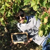 Retour positif sur un coffret Expérience Vin avec vignes bio à Saint-Emilion près de Bordeaux
